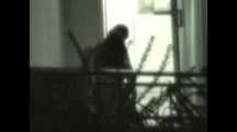 HIDDEN CAM AND FUCKING COUPLES