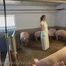Clip #023 Which pig should it be? #Stall #Apron #Butcher