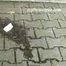047030 Rock Chick Yassie Pees In The Street