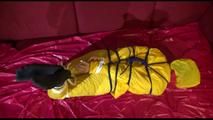 Lucy tied, gagged and hooded on a sofa with dark ropes wearing a sexy yellow rainwear combination (Video)