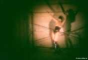 The Cellar