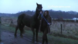 055010 Cute Teen Natly Pees In The Stables