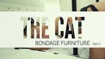 Your home becomes a playground: Bondage chair in action with Ninajoy as a kitten – Part 2