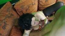 Noemi's Casting - The GILF and the young Man  - UNCUT