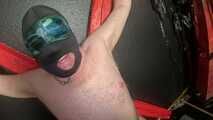 How resilient are your nipples, slave?
