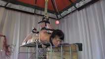 Belt Spiele Ultimate