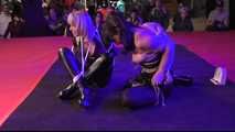 The ultimate Escape Challenge from VENUS Berlin - Legendary Battles
