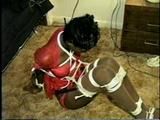 BALL-GAGGED, BALL-TIED & HOG-TIED (D6-13)