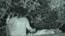VOYEURFUN 1683