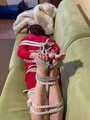 Hogtied Loredana part 2