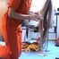 Anja - The Prisoner & Raincoat Bondage (DVD-Quality)