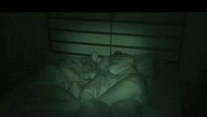 4:45 Min. video with a cute girl tying and gagging her girlfirend in shiny shorts