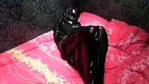 [From archive] Stella - packed in the trash bag on the bed and escapes