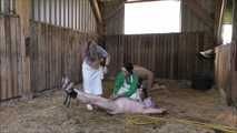 Hausschlachtung des Schweinchens im Stall