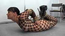 Double Hogtie