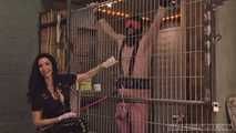Mistress Zita - MasoSchwein Part 1
