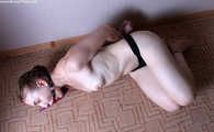 Amanda hogited and tormented