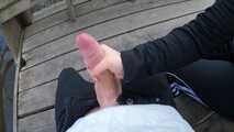 MONSTERCOCK AND STRAPON HORNY